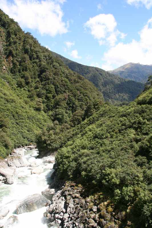 Nieuw-Zeeland 2011 - 1571